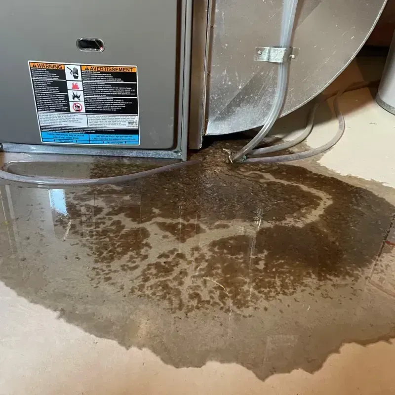 Appliance Leak Cleanup in Boulevard Gardens, FL